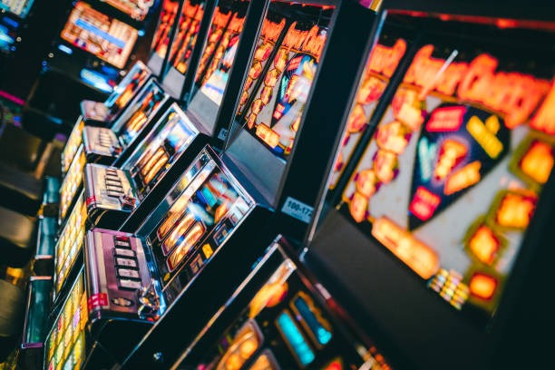 Golden Toad live-dealer table interface on dominobet login showing dealer, cards, and betting controls